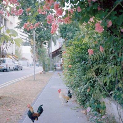 金年会·体育APP