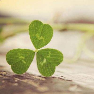 球探手机app下载